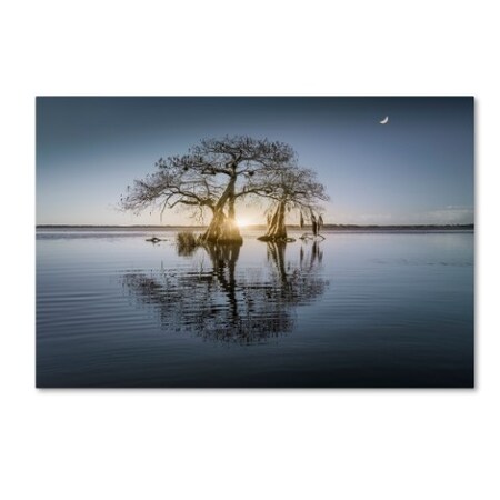 Trademark Fine Art Moises Levy 'Hope 2' Canvas Art, 12x19 ALI6037-C1219GG